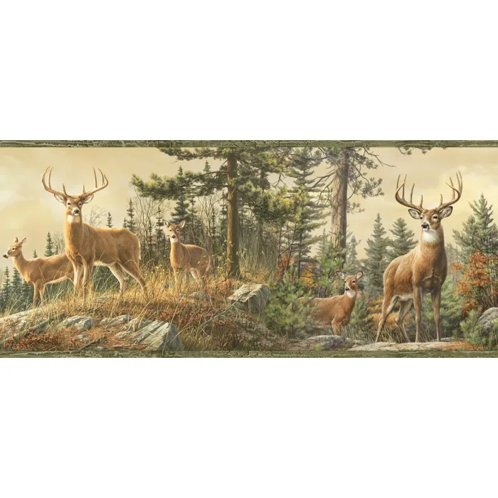 Garth Sand Whitetail Crest Portrait Wallpaper Border Chesapeake BBC48461B