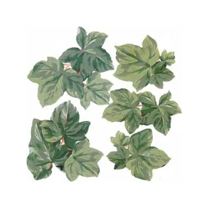 Ivy Leaf Wallpaper Cutouts