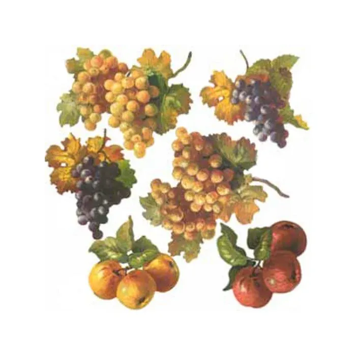 Fruit Wallpaper Cutouts