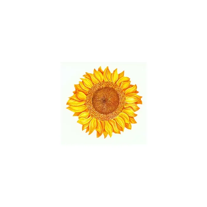 Sunflower Wallies