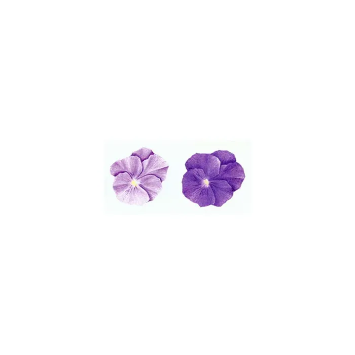 Pansy Wallies