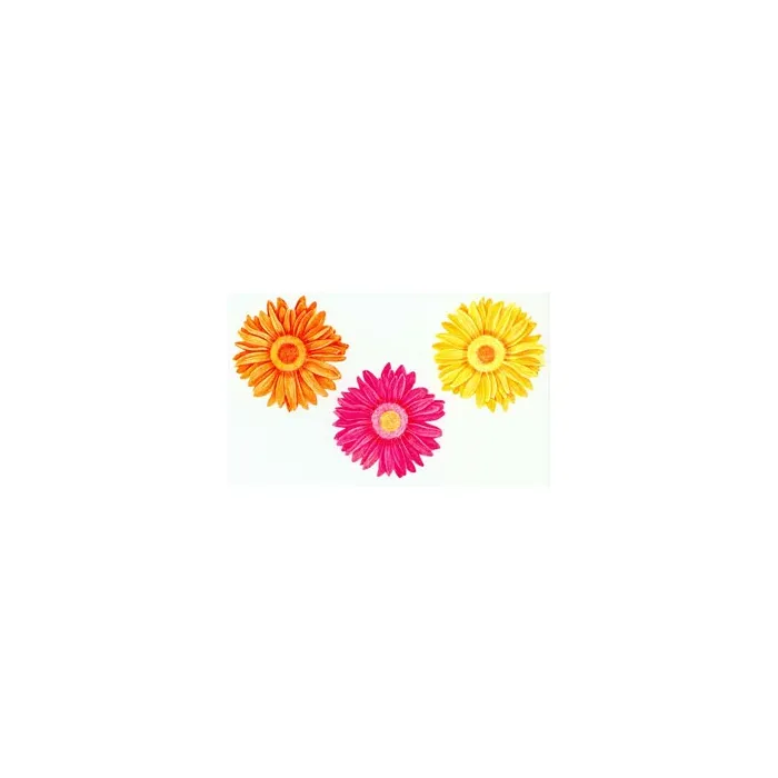 Gerber Daisy Wallies
