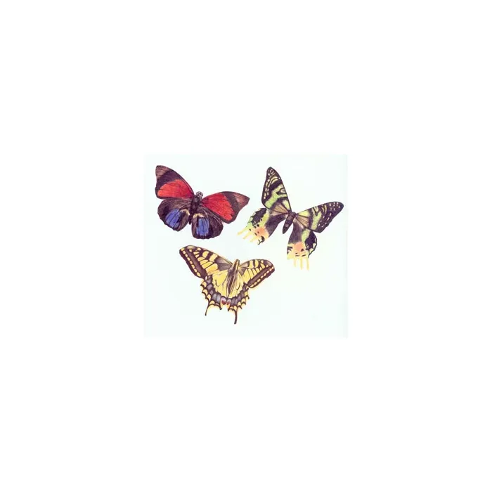 Butterfly Wallies