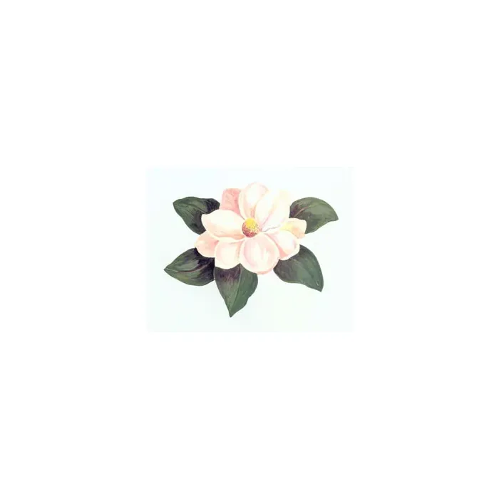 Magnolia Wallies