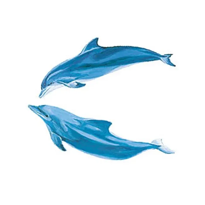 Dolphin Wallies