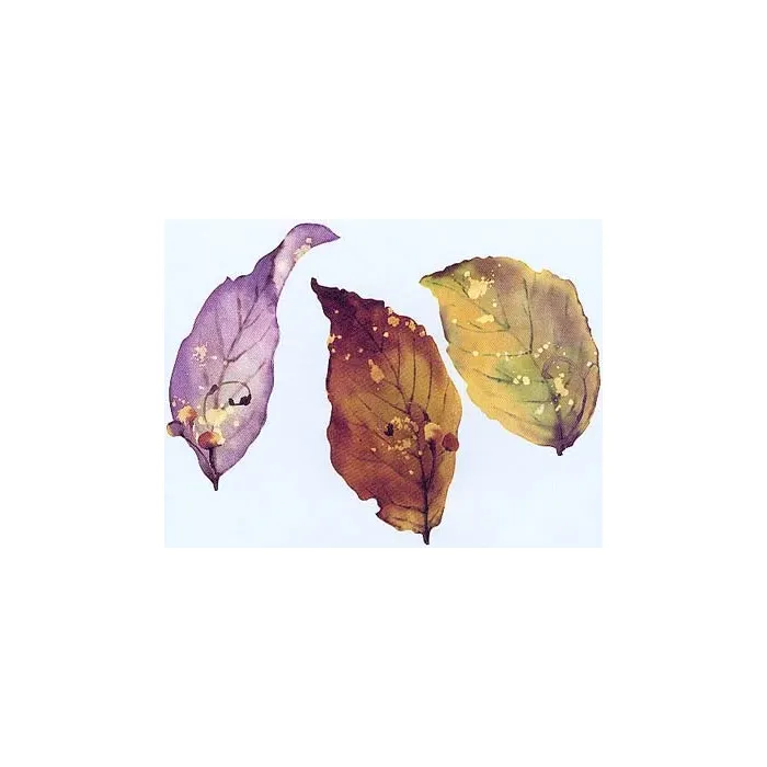 Leaf Wallies