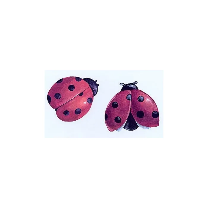 Ladybug Wallies
