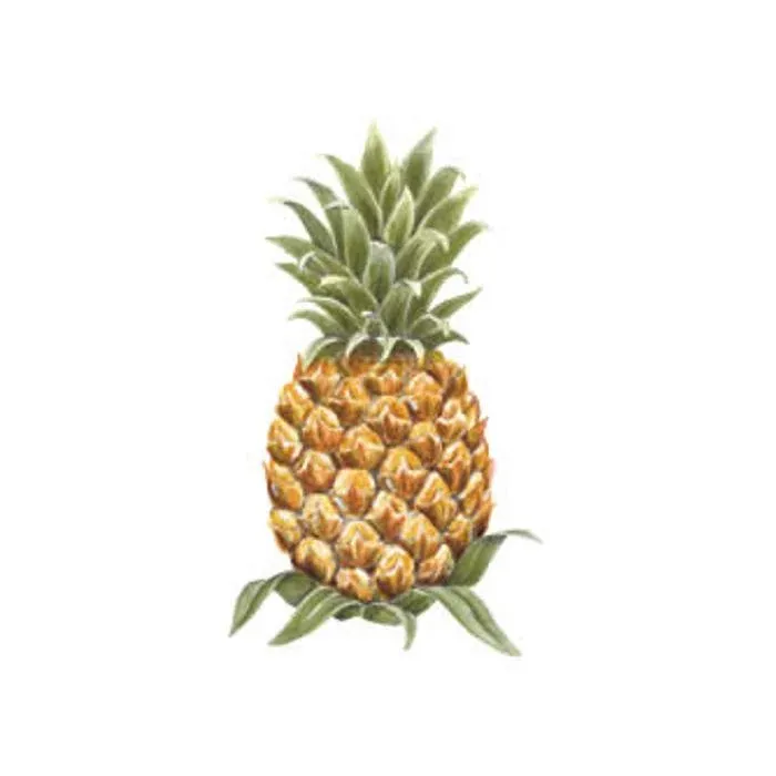 Pineapple Wallies
