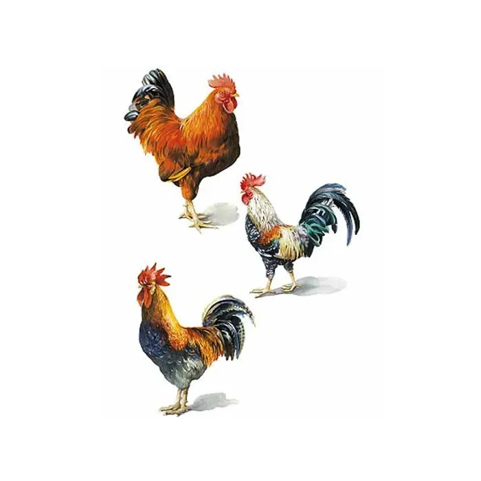 Painted Rooster Wallies