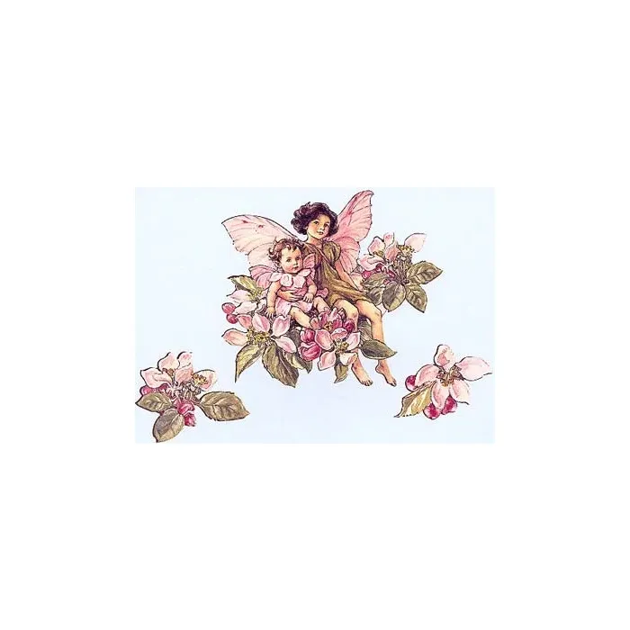 Apple Blossom Flower Fairies Wallies