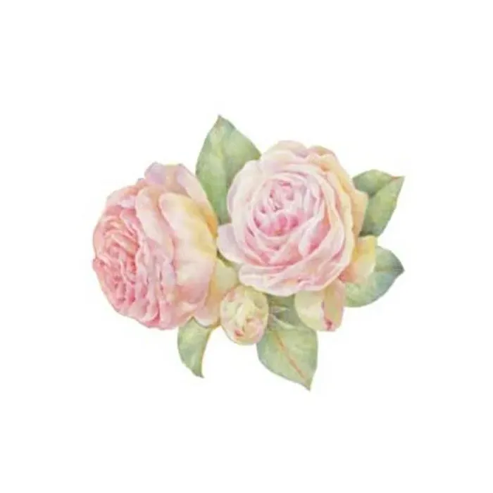 Romanza Rose Wallies