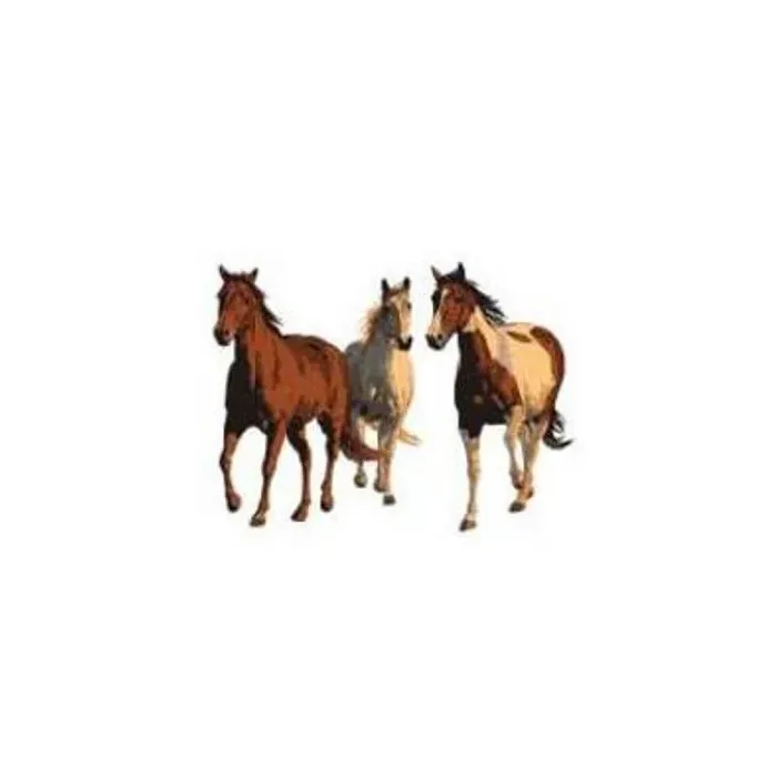 C. Cummings Wild and Free Horse Wallies Murals