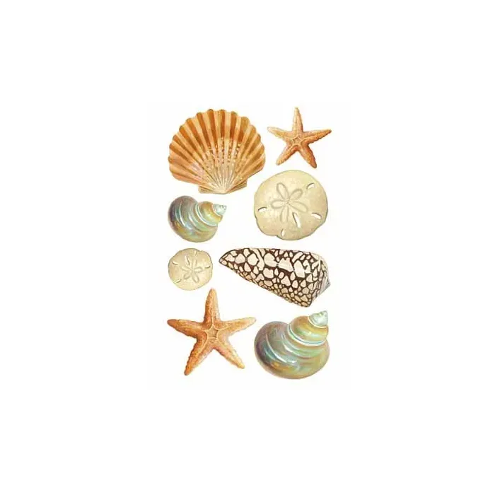 Seashell Vinyl Decal Wallies