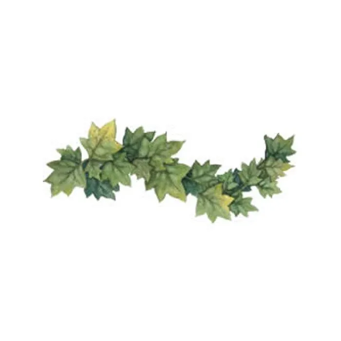 Ivy Leaves Wallies Border Cutouts