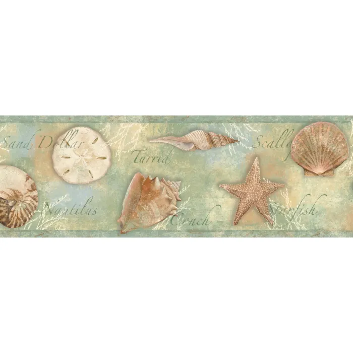 Quinten Green Seashells Toss Wallpaper Border Chesapeake BBC46052B
