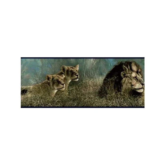 Lions in the Grass Wallpaper Border