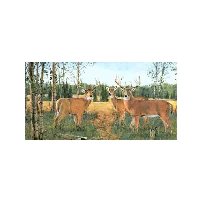Springtime Buck and Doe Wallpaper Border