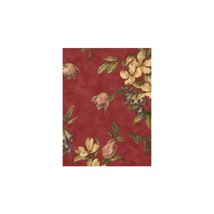 Burgundy Tulips