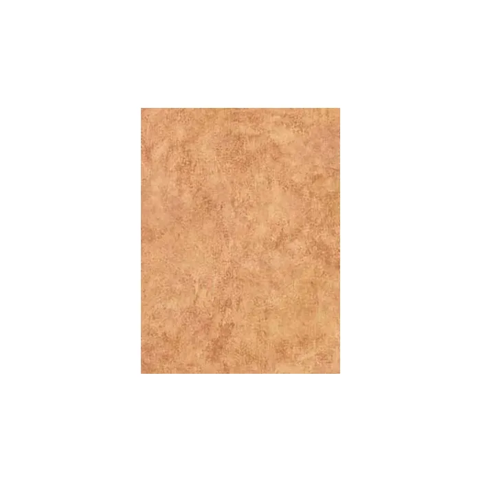 Tan and Burgundy Faux Wallpaper