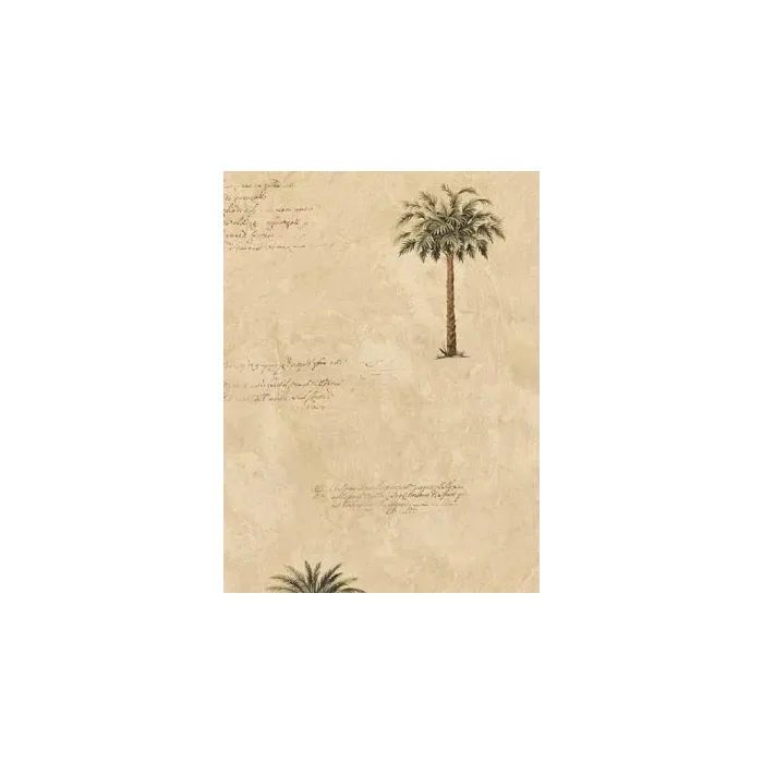 Tropical Tree Wallpaper 5813500
