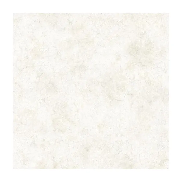 Key West Grey Coral Texture Wallpaper Sidewall Chesapeake DLR47613