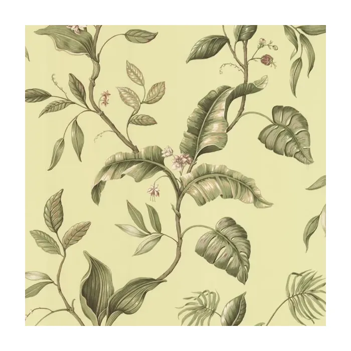 Eldora Green Evening Tropics Leaves Wallpaper Sidewall Chesapeake DLR58422
