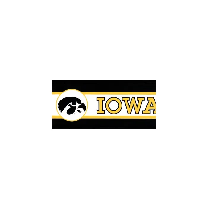 University of Iowa Hawkeye Wallpaper Border BE7123