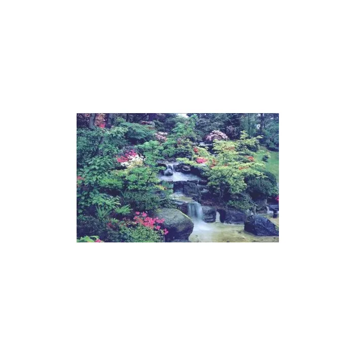 Oriental Garden Wallpaper Mural