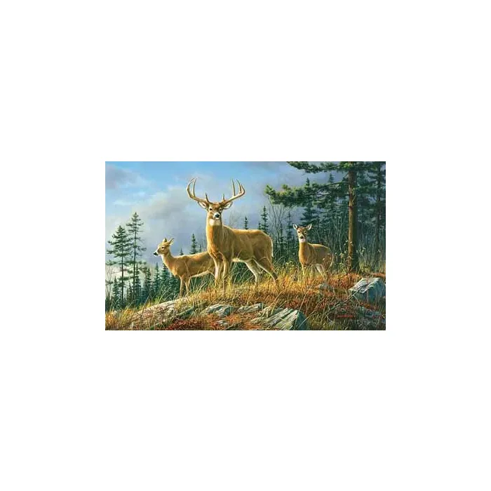 Autumn Whitetail Deer Wallpaper Mural