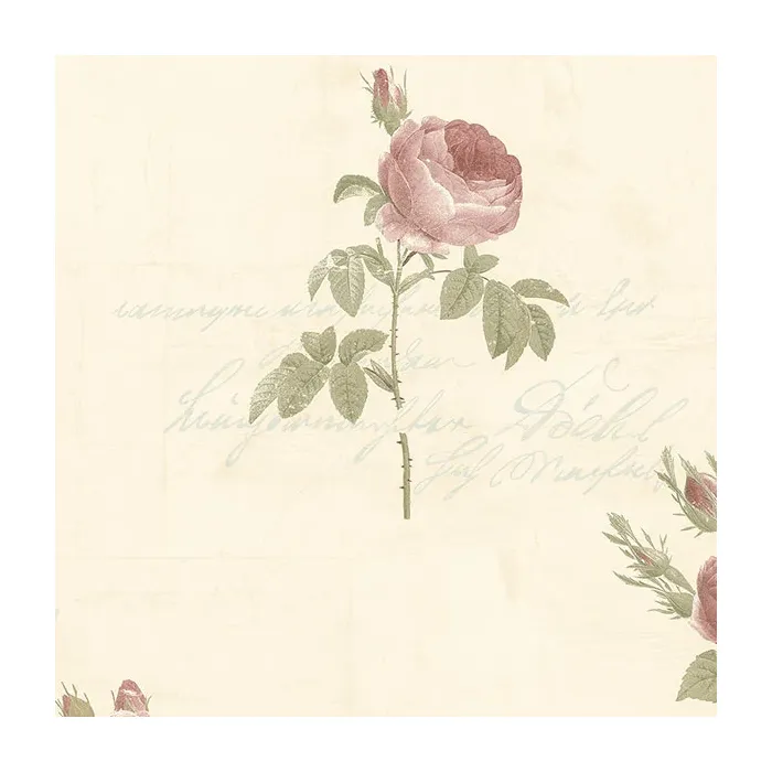 Script Rose Wallpaper Pink, Beige, Cream, Green Norwall Wallcovering CG28861