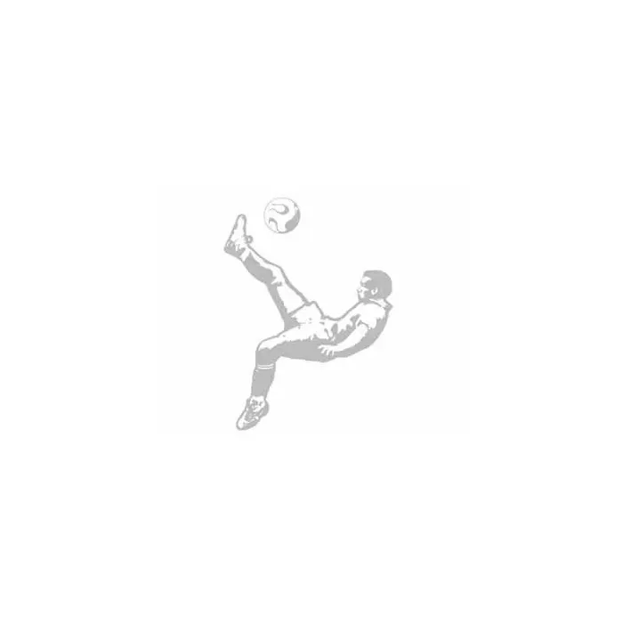 Sudden Shadows Flip Kick Mural