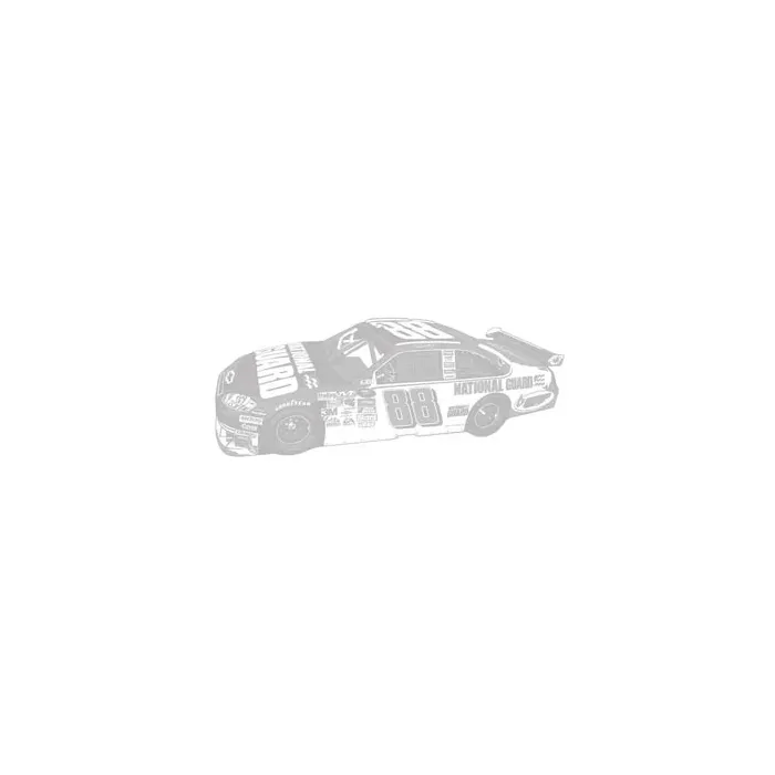 NASCAR Dale Earnhardt Jr. Sudden Shadow Wall Mural 02010