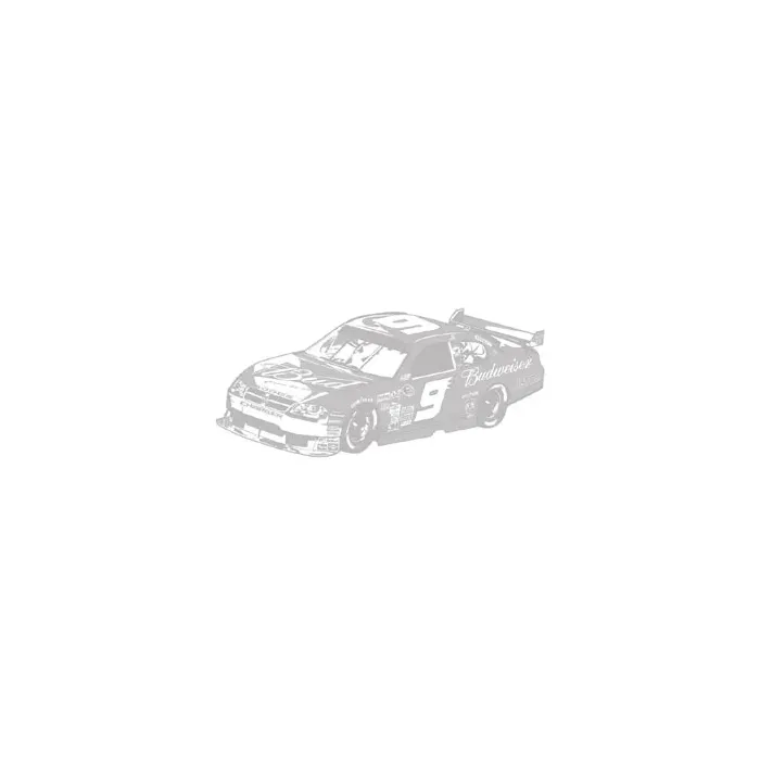 NASCAR Kasey Kahne Sudden Shadow Mural 02018
