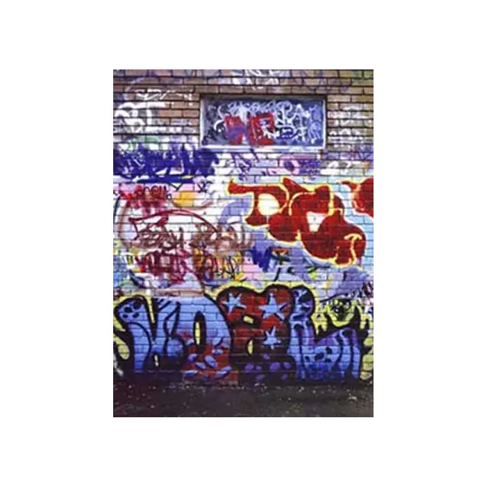 Wall Graffiti Mural