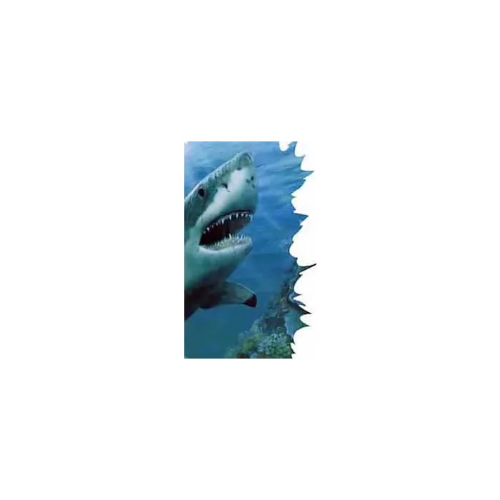 Shark Wall Mural