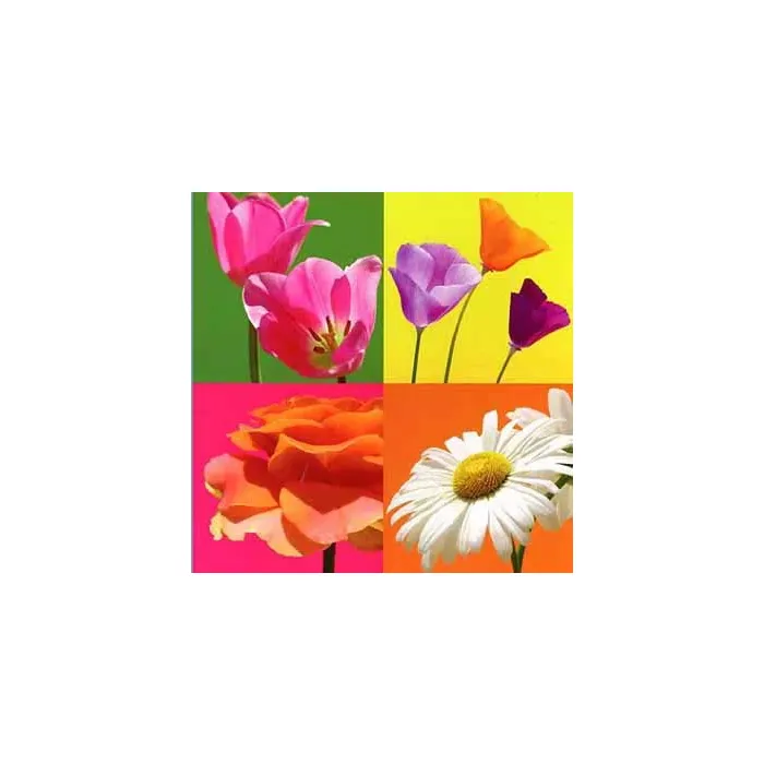 Fun Blocks Flower Mural - 1 left