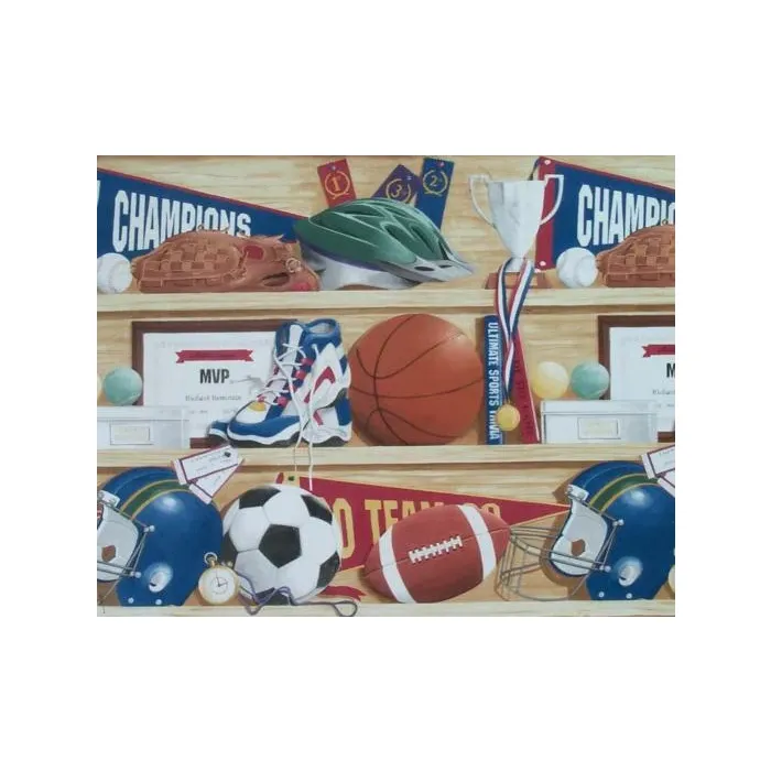 Sports Shelf Wallpaper Border- 1 ROLL LEFT