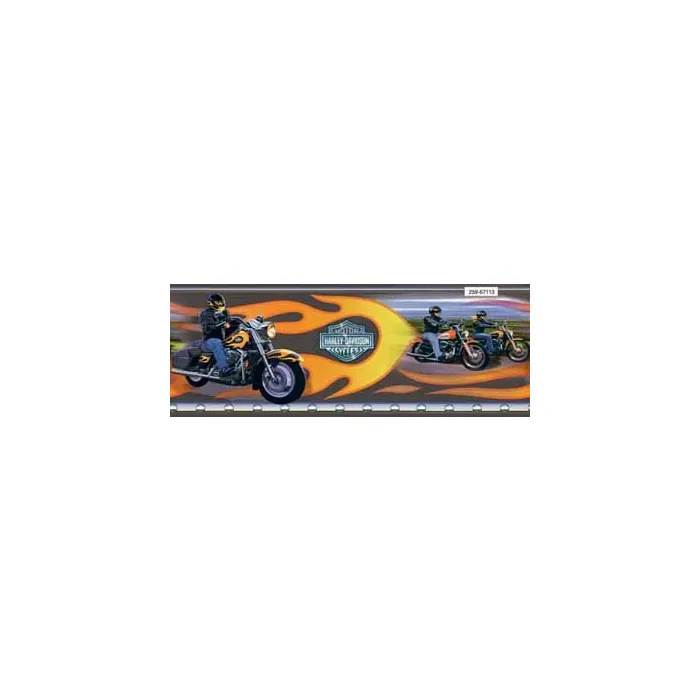 Harley Davidson Flame Mural - Only 1 Left