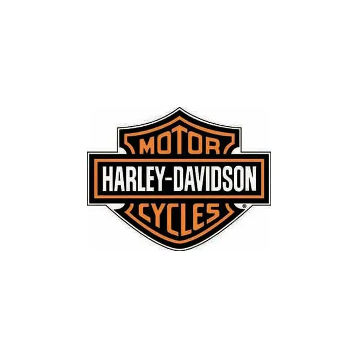 Harley Davidson Bar and Shield Mural