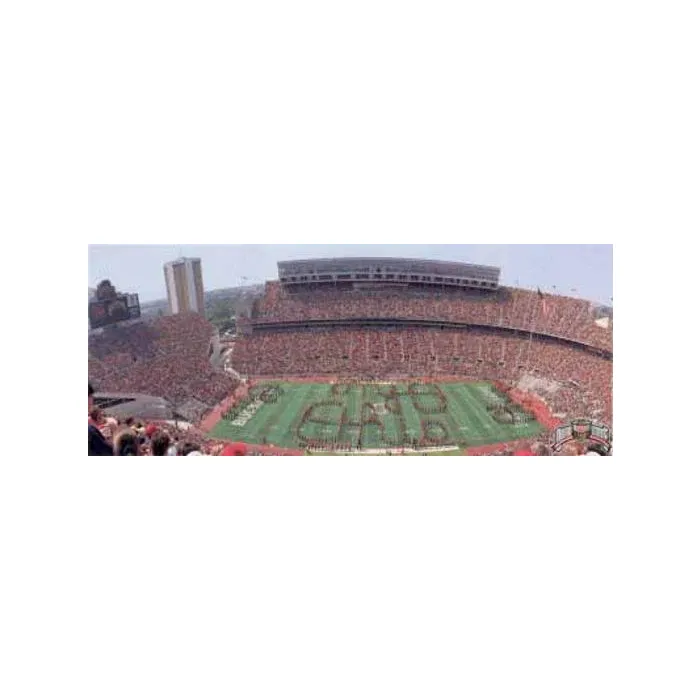 Ohio State Wallpaper Mural