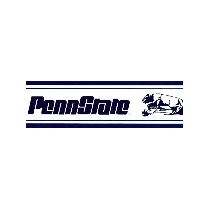 Nittany Lions Penn State Wallpaper Border- 2 Rolls Left