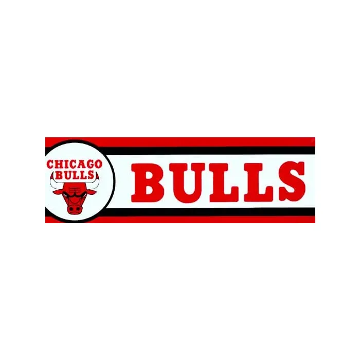 Chicago Bulls NBA Basketball Wallpaper Border - Teamworks