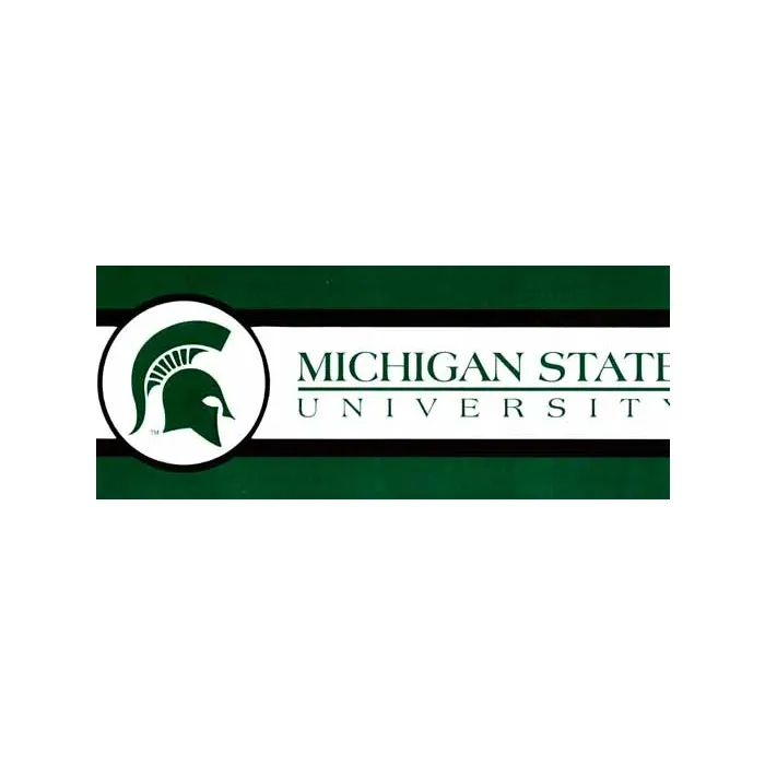 Michigan State University Spartan Wallpaper B