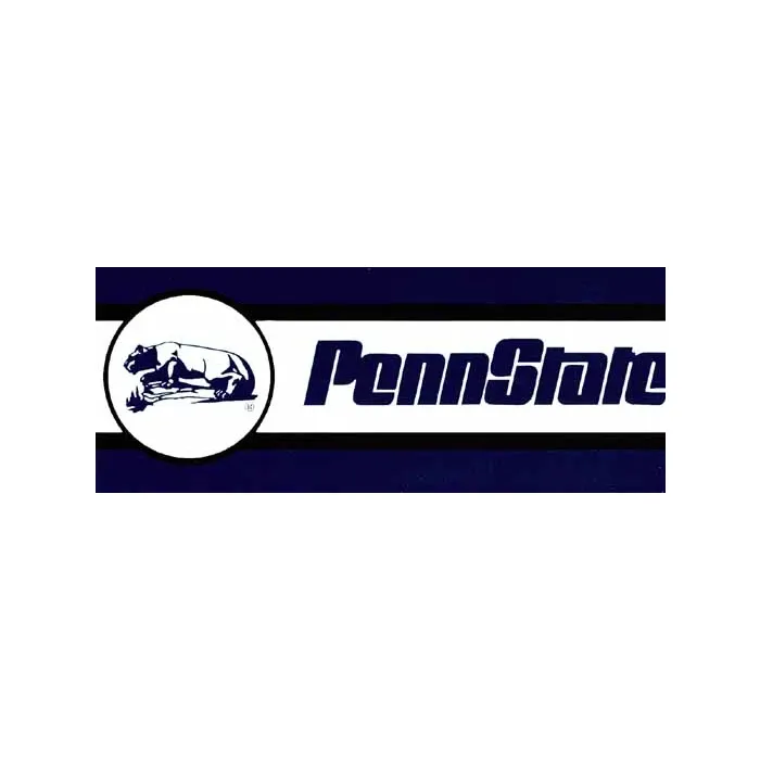 Nittany Lions Penn State Wall Paper Border BE7263B