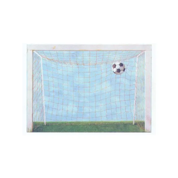 Soccer Goal Wallposter Accent Mural