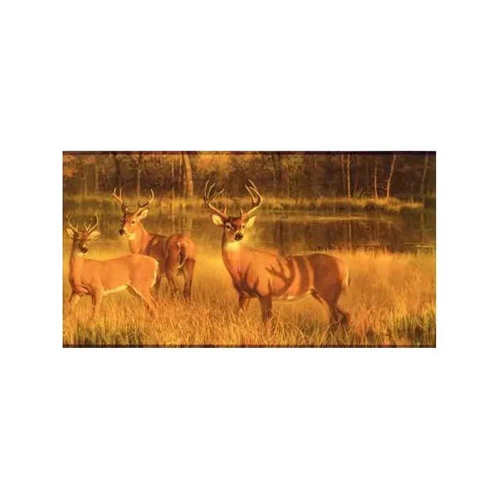 White Tail Lake Wallpaper Border