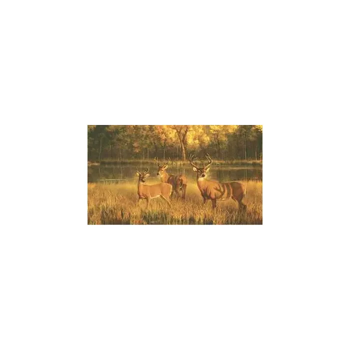 White Tail Deer Mural CH7985M