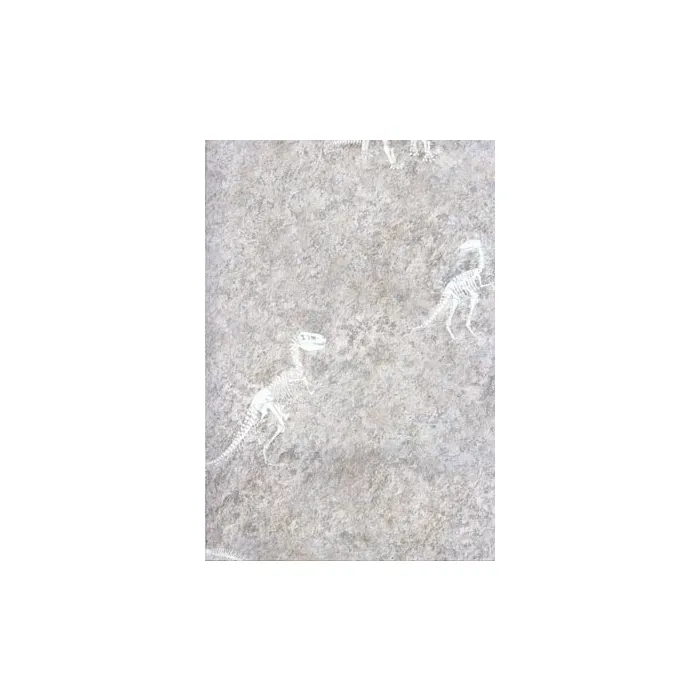 Candice Olson Dinosaur Fossil Wallpaper