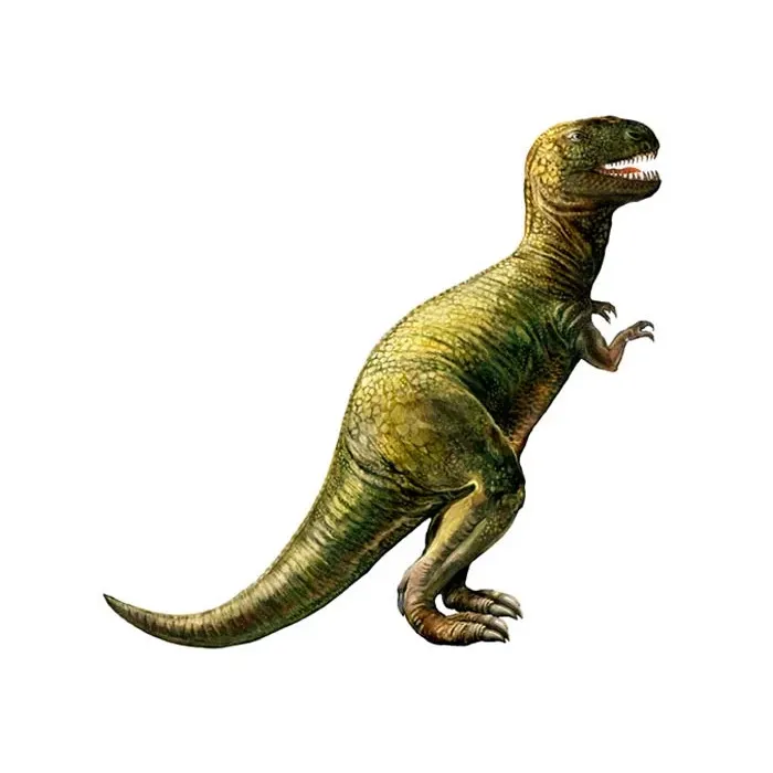 Candice Olson Dinosaur Wall Accent Mural
