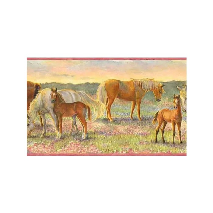 Horsing Around Wallpaper Border CK83021B 